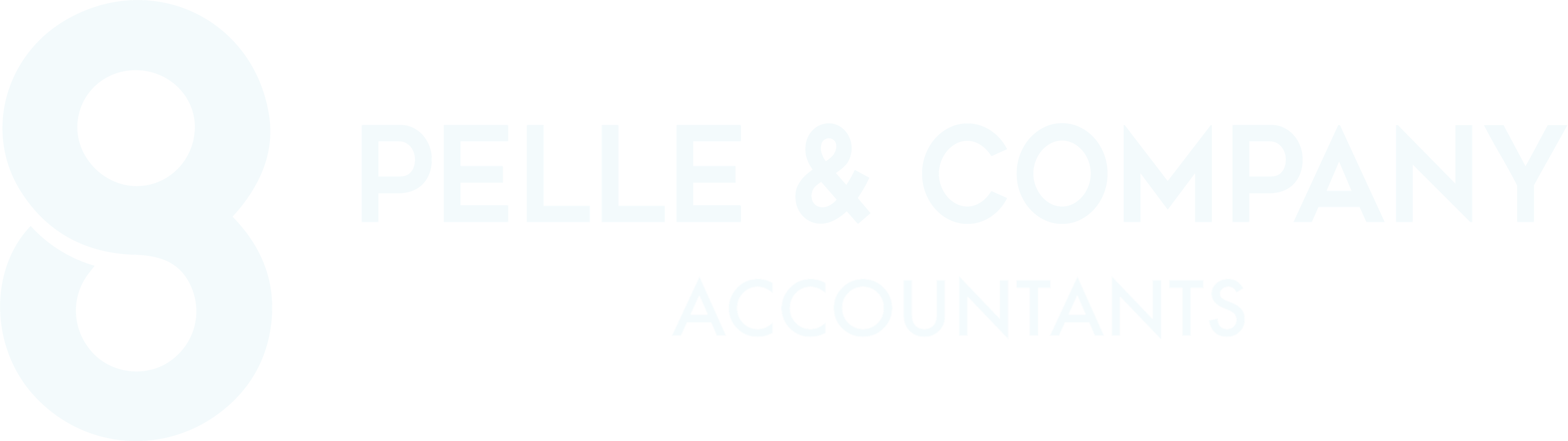 Pelle & Company Accountants